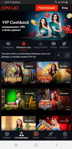 скриншот №4 из приложения Pin-Up на Андроид